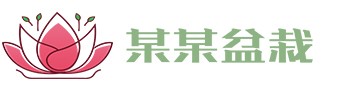 bellbet贝博·BB(艾弗森)官方网站